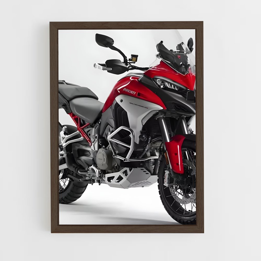 Poster Ducatiana V4 (vue 5)